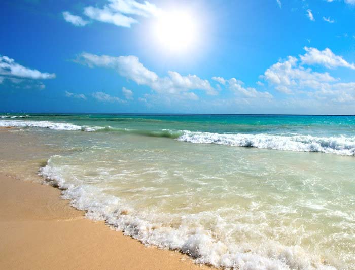 Surf & Sand