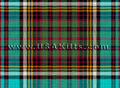 Anderson Tartan - Muted