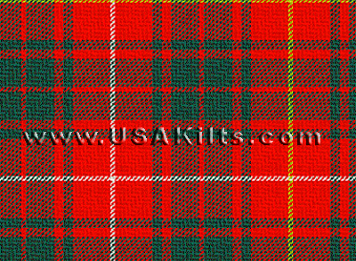 Bruce Tartan - Modern