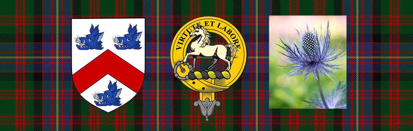 Clan Cochrane's crst features a white horse while the coat of arms shows thre  blue boras' heads. The clan plant badge is sea holly