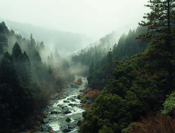 Pacific Northwest