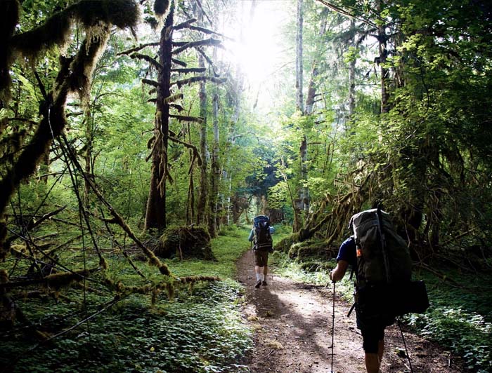 Leave No Trace